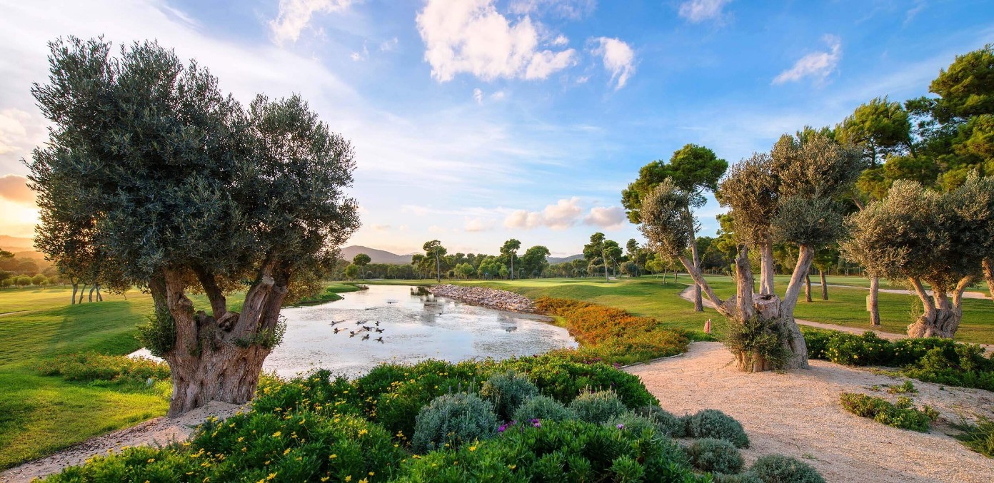 Golf Son Servera